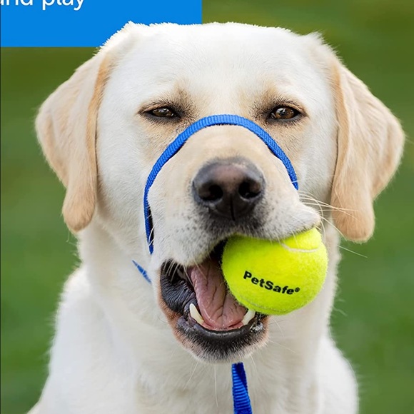 PetSafe gentle Leader headcollar - Picture 4 of 7